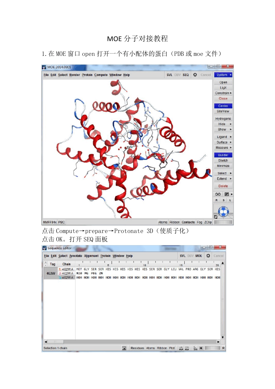 MOE分子对接教程_第1页