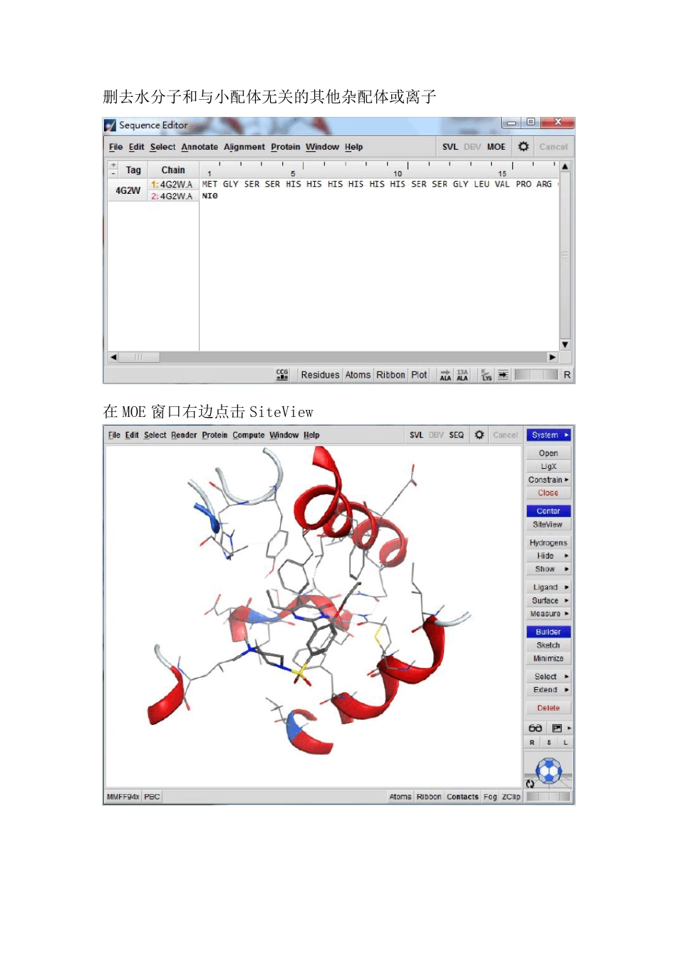 MOE分子对接教程_第2页