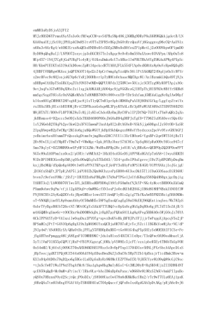 国际货物运输委托代理合同