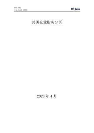 跨国企业财务分析