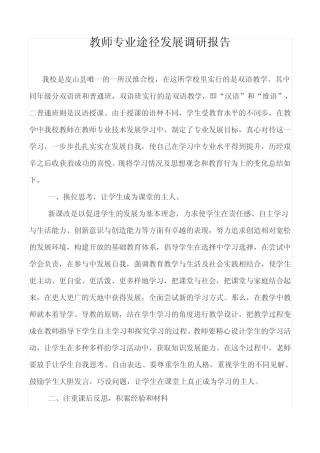 教师专业途径发展调研报告