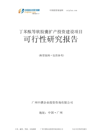 丁苯酞等软胶囊扩产投资建设项目可行性研究报告-广州中撰咨询