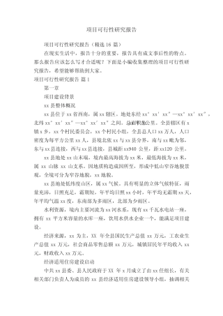 项目可行性研究报告(精选16则)