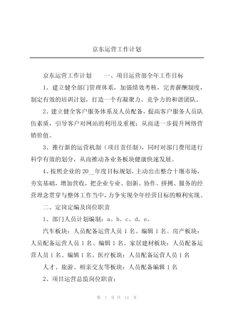 京东运营工作计划