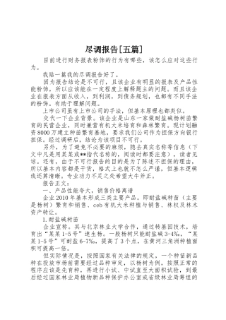 尽调报告[五篇]
