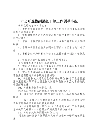 市公开选拔副县级干部工作领导小组