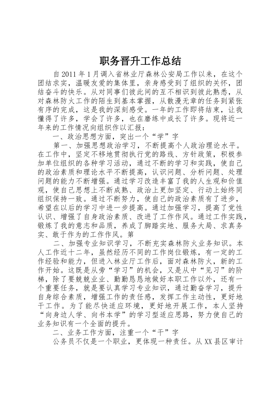 职务晋升工作总结_第1页