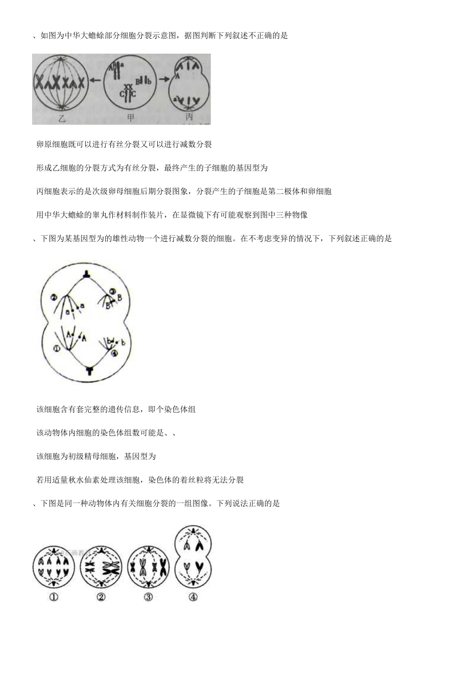 高中生物人教版减数分裂练习题_第2页