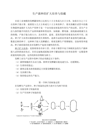 生产菌种的扩大培养与保藏