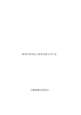 官方旗舰店运营策划书