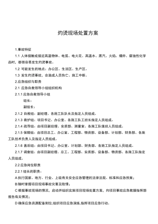 灼烫现场处置方案