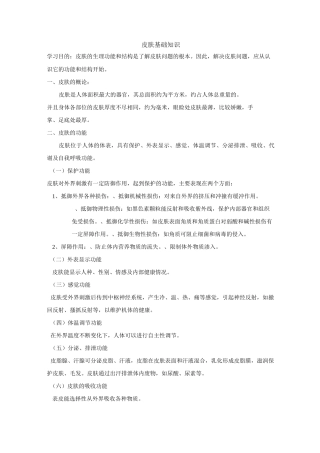 人体皮肤基础知识