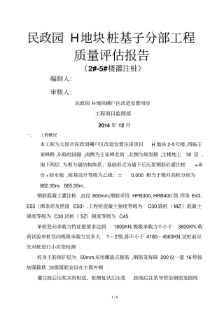 桩基质量评价报告