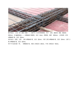 梁钢筋标注详解