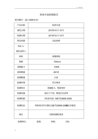检查井盖检测报告