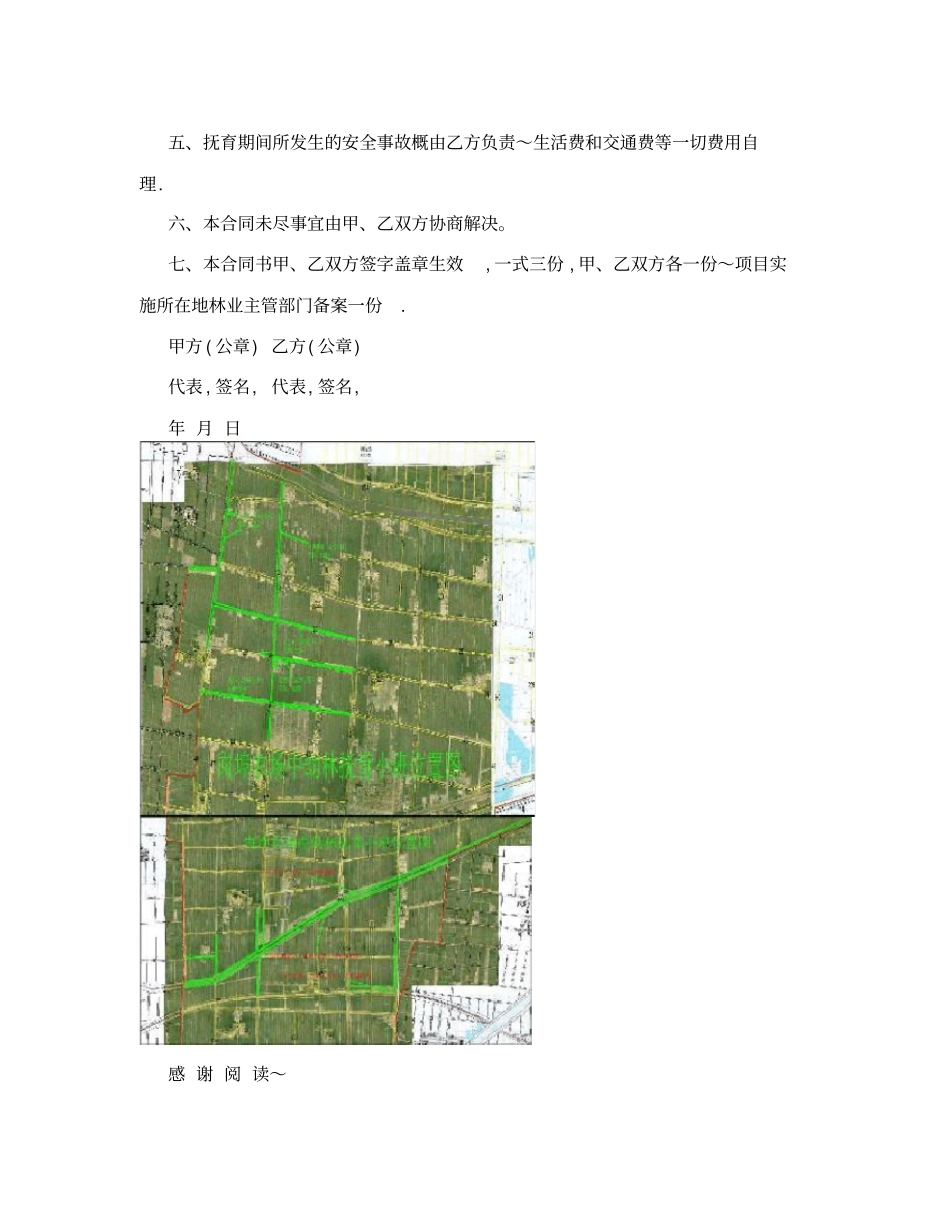 森林抚育合同_第3页