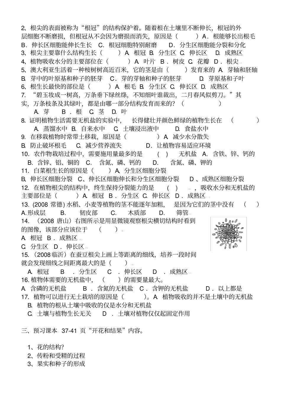 植株的生长学案_第2页