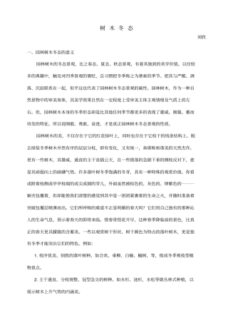 植物冬态识别汇总