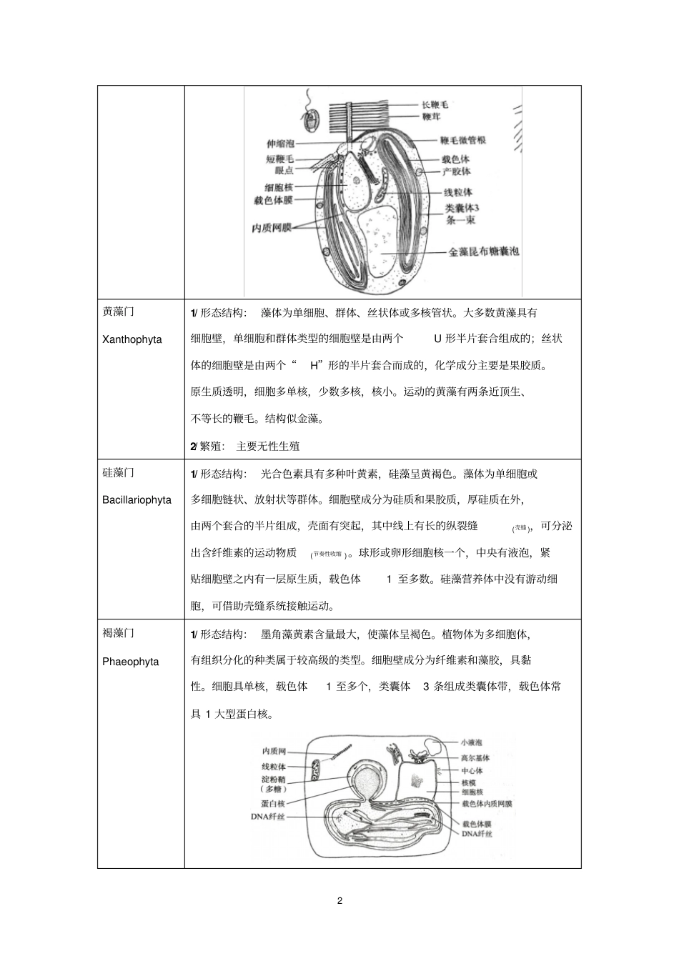 植物分类学汇总_第2页