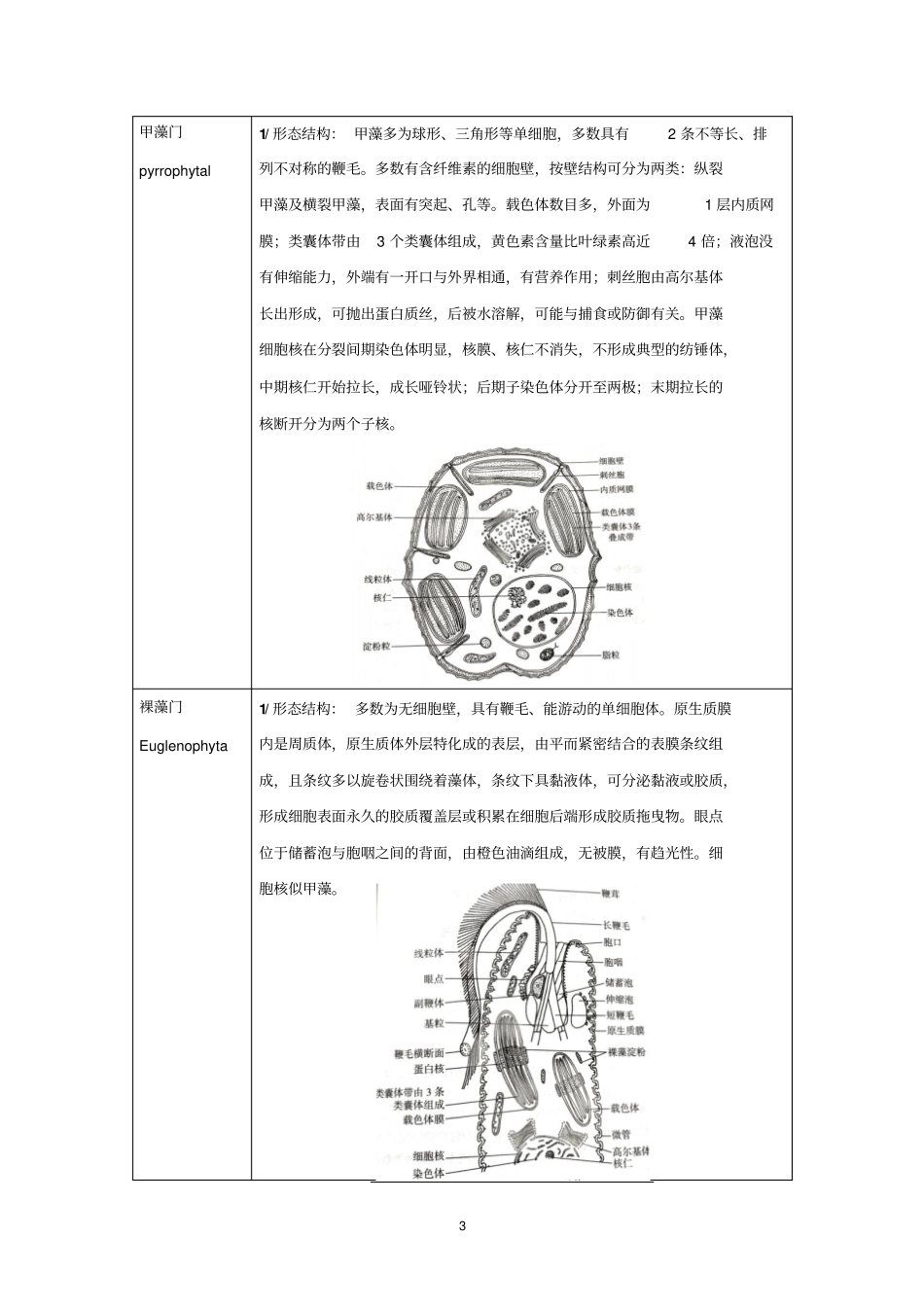 植物分类学汇总_第3页