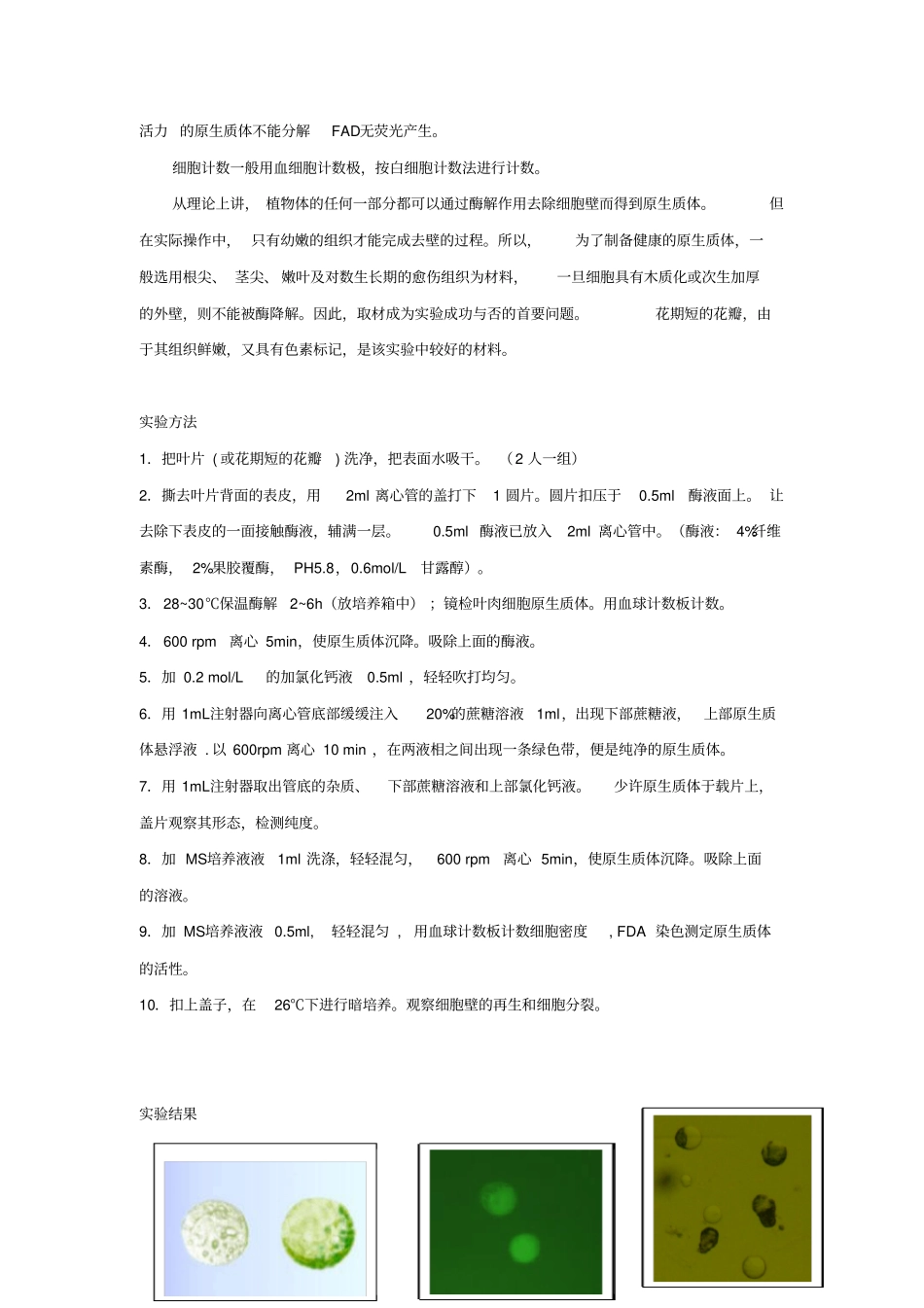 植物原生质体的分离试验_第2页