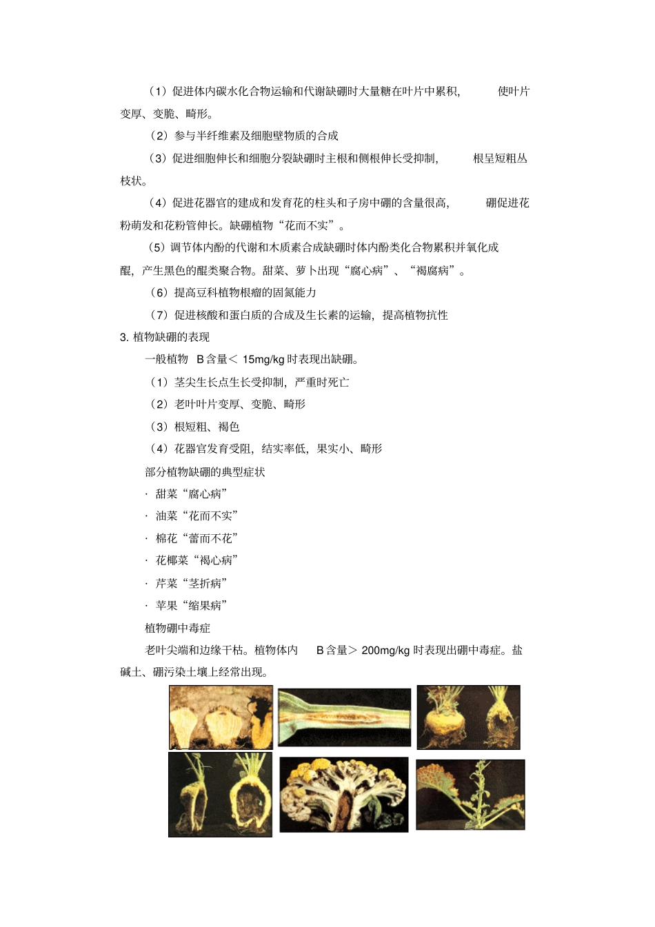 植物基础元素含量汇总_第2页