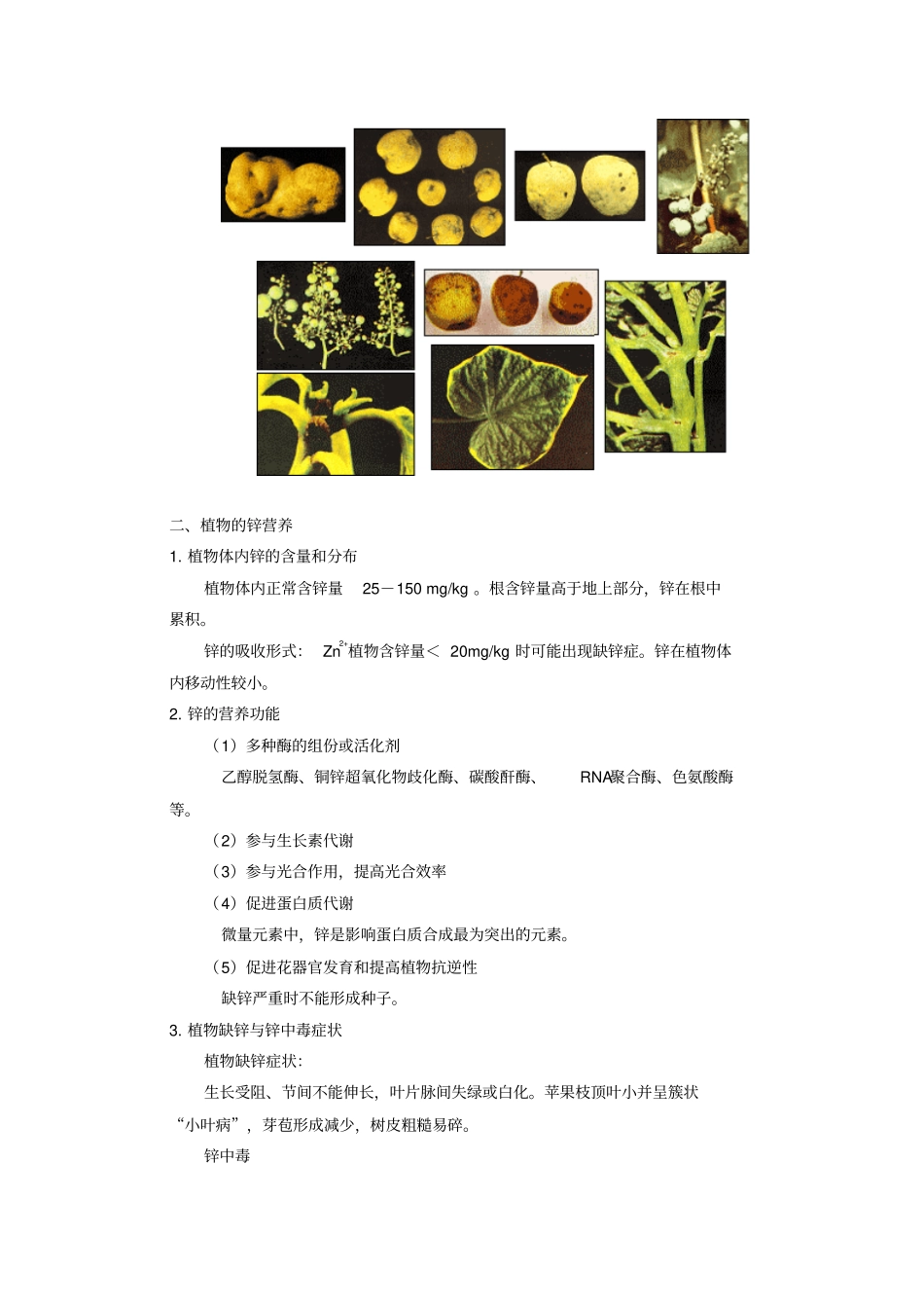 植物基础元素含量汇总_第3页