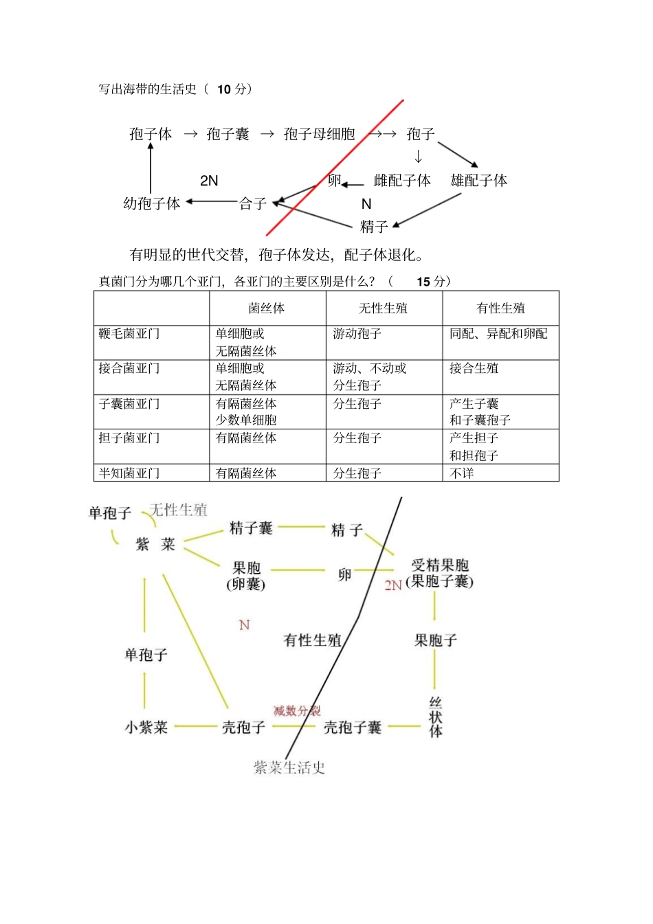 植物学复习汇总_第2页