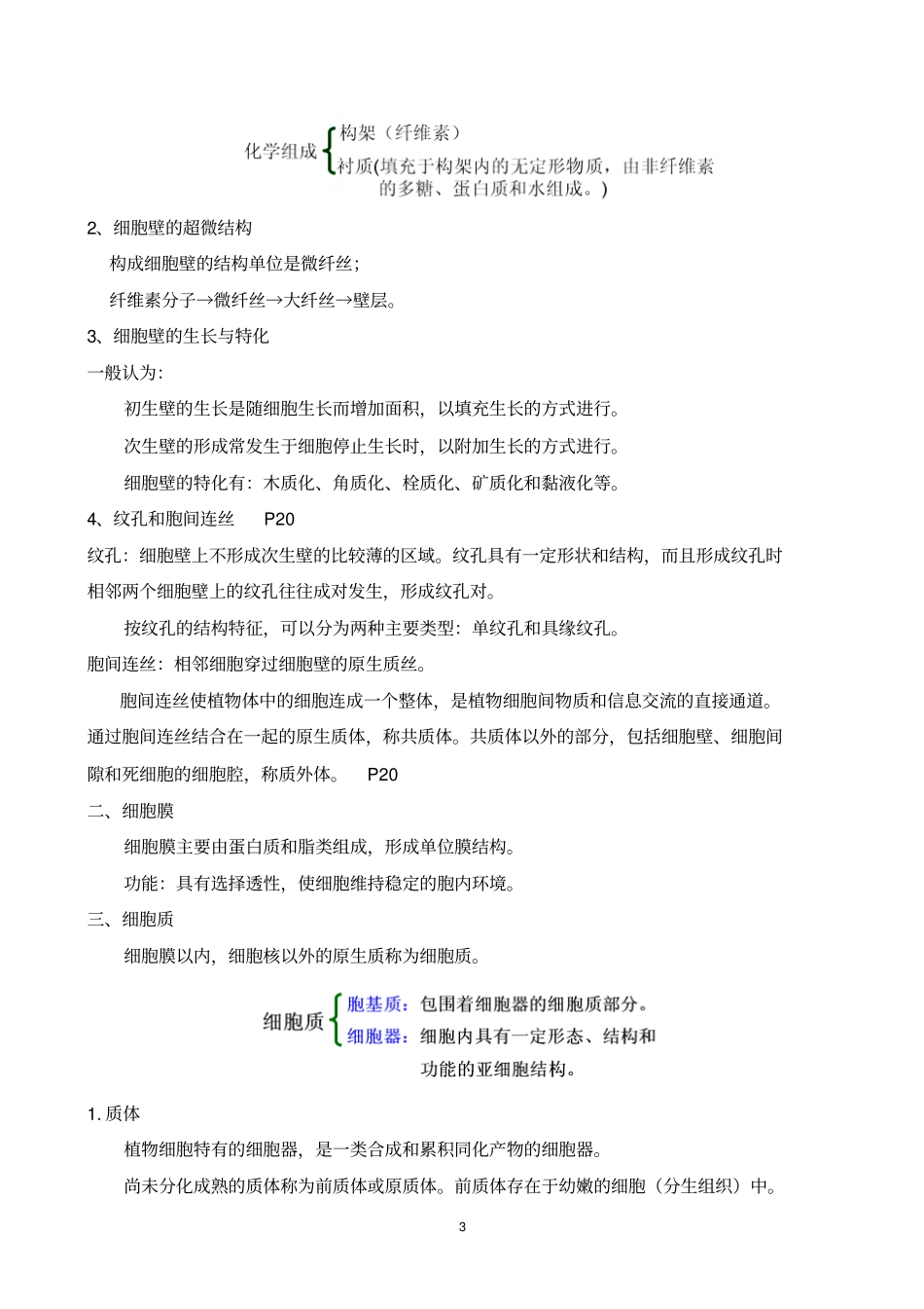 植物学提纲讲解_第3页
