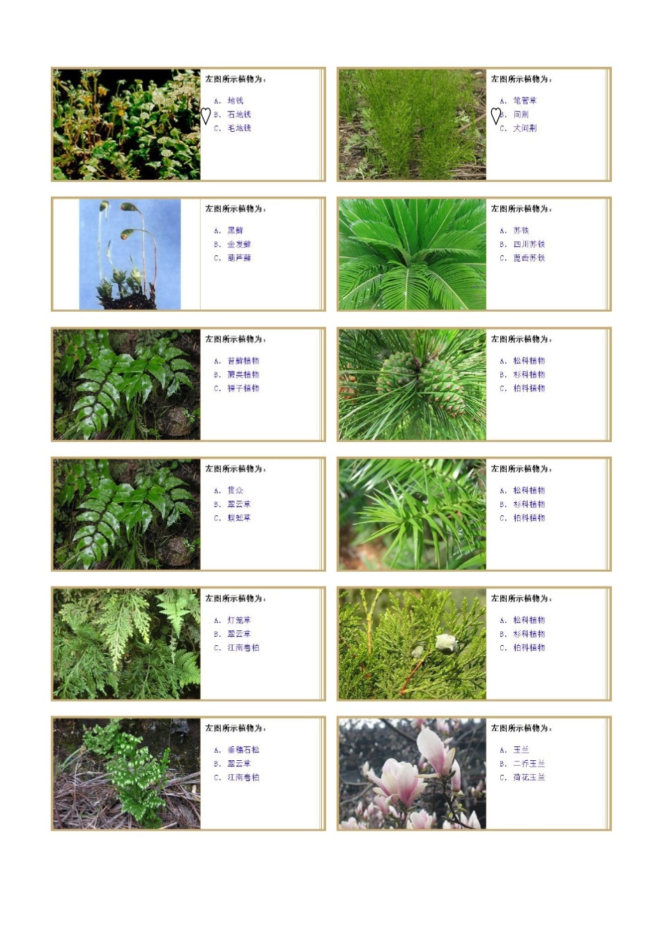 植物学试验及答案_第1页