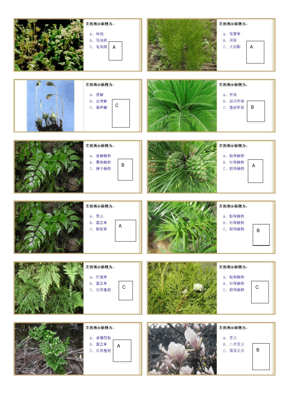植物学试验题库_第1页