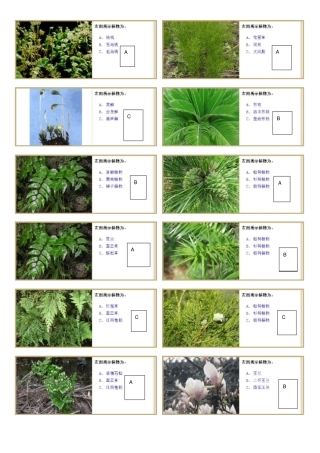 植物学试验题库
