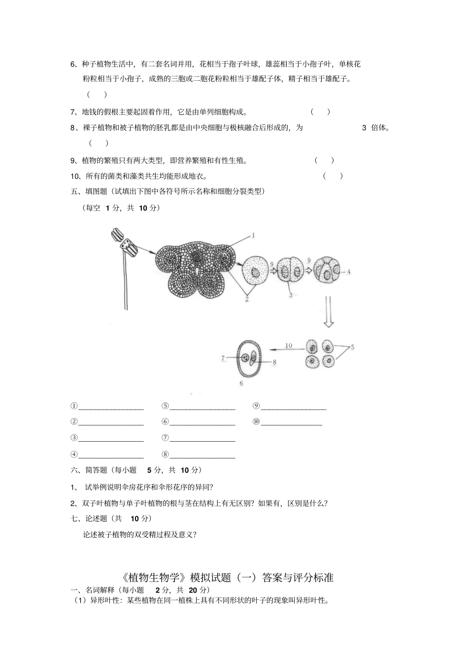 植物生物学3套模拟试题及答案讲解_第3页