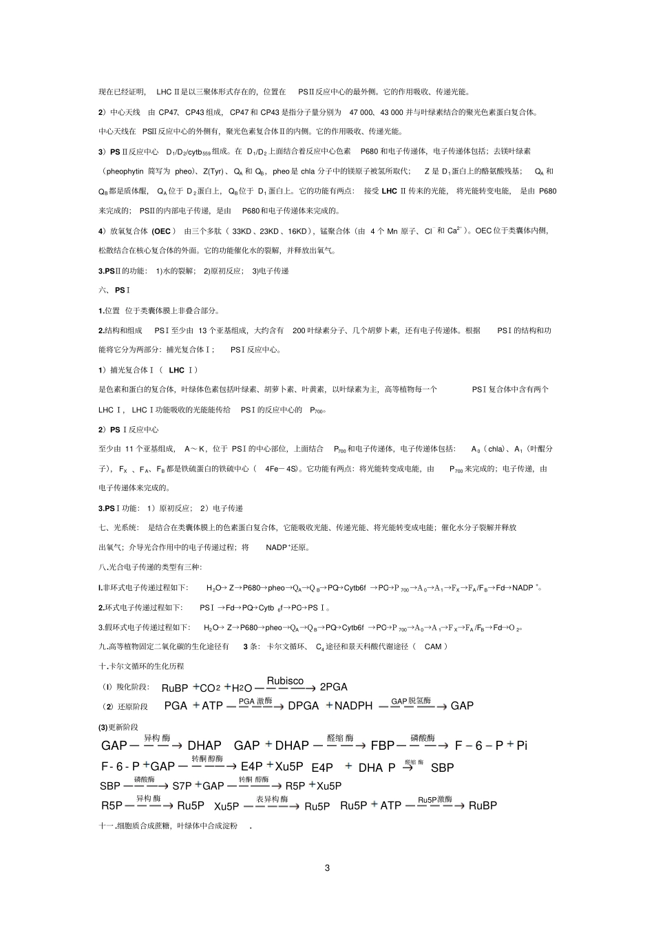 植物生理重点_第3页