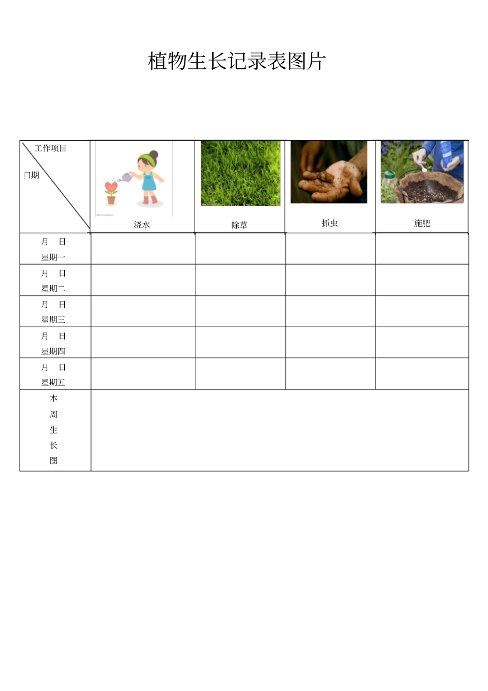 植物生长记录表图片_第1页