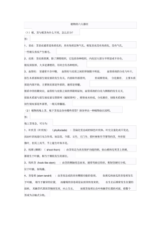 植物的六大器官