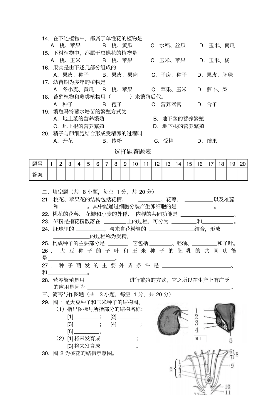 植物的生殖和发育练习_第2页