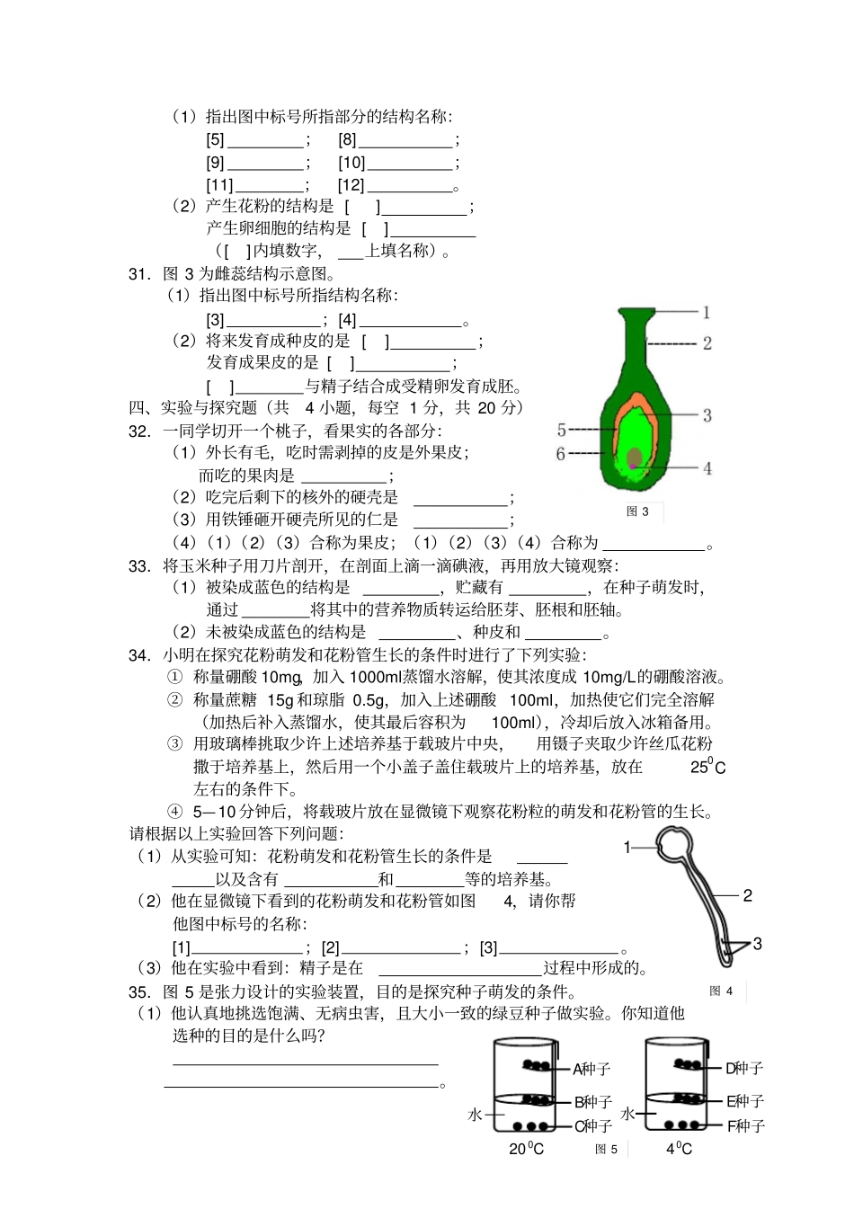 植物的生殖和发育练习_第3页