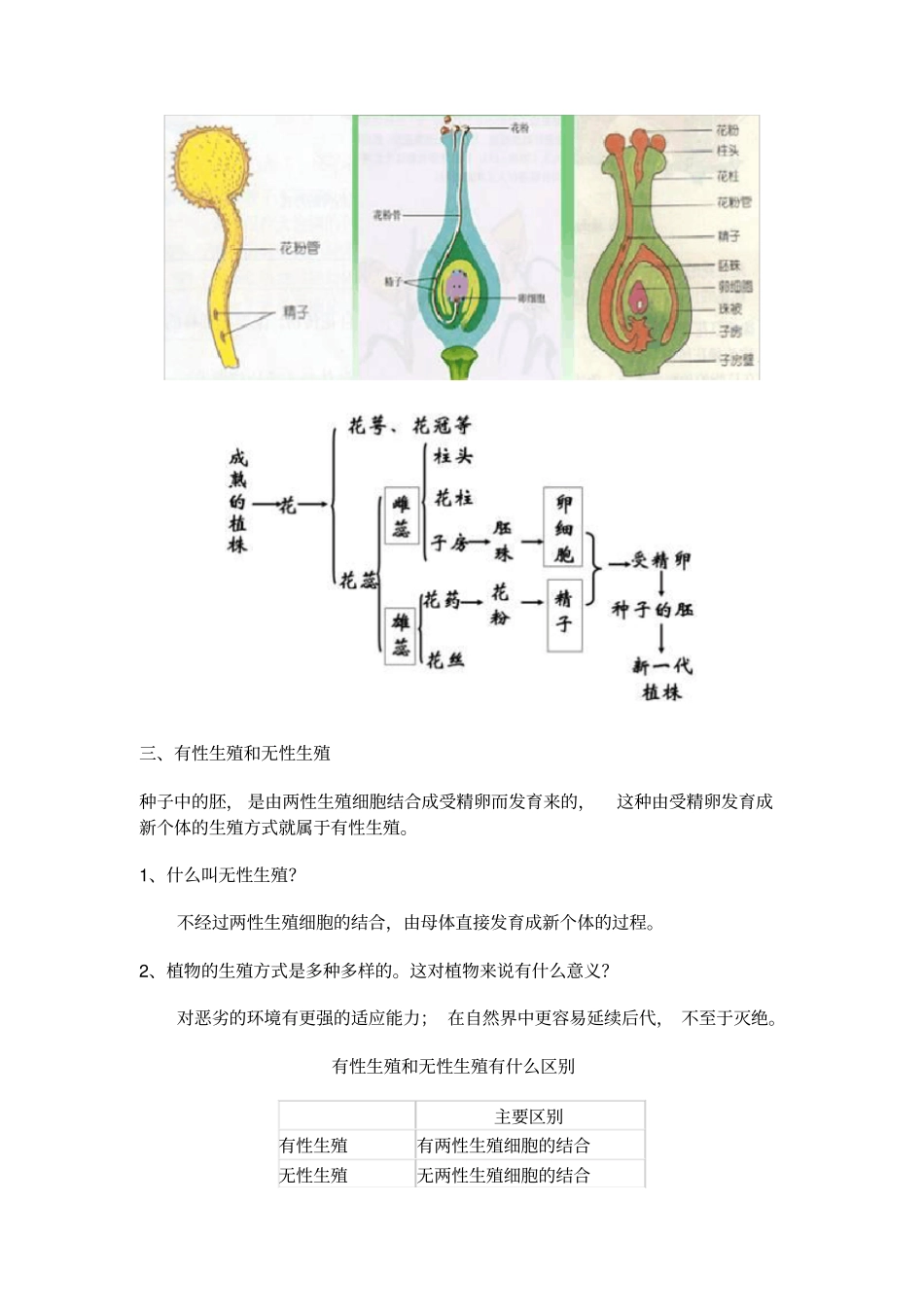 植物的生殖资料_第3页