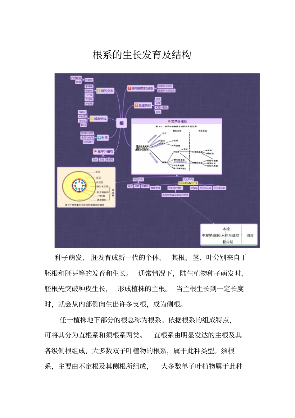植物的生长历程_第2页