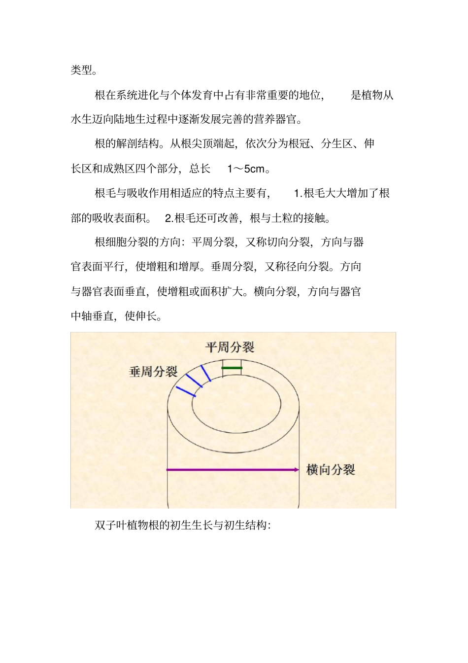 植物的生长历程_第3页