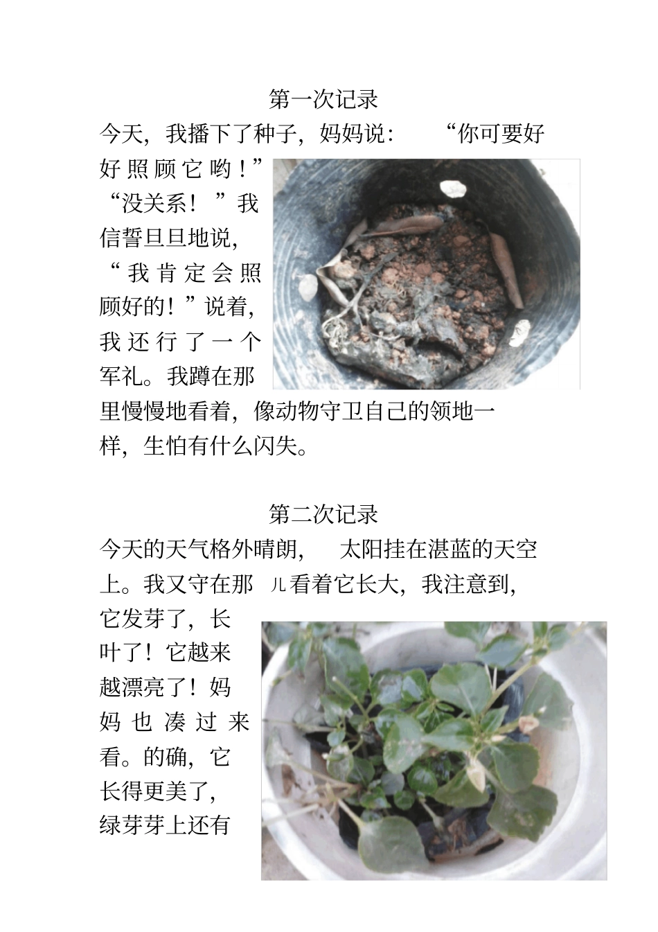 植物的生长过程配图_第1页