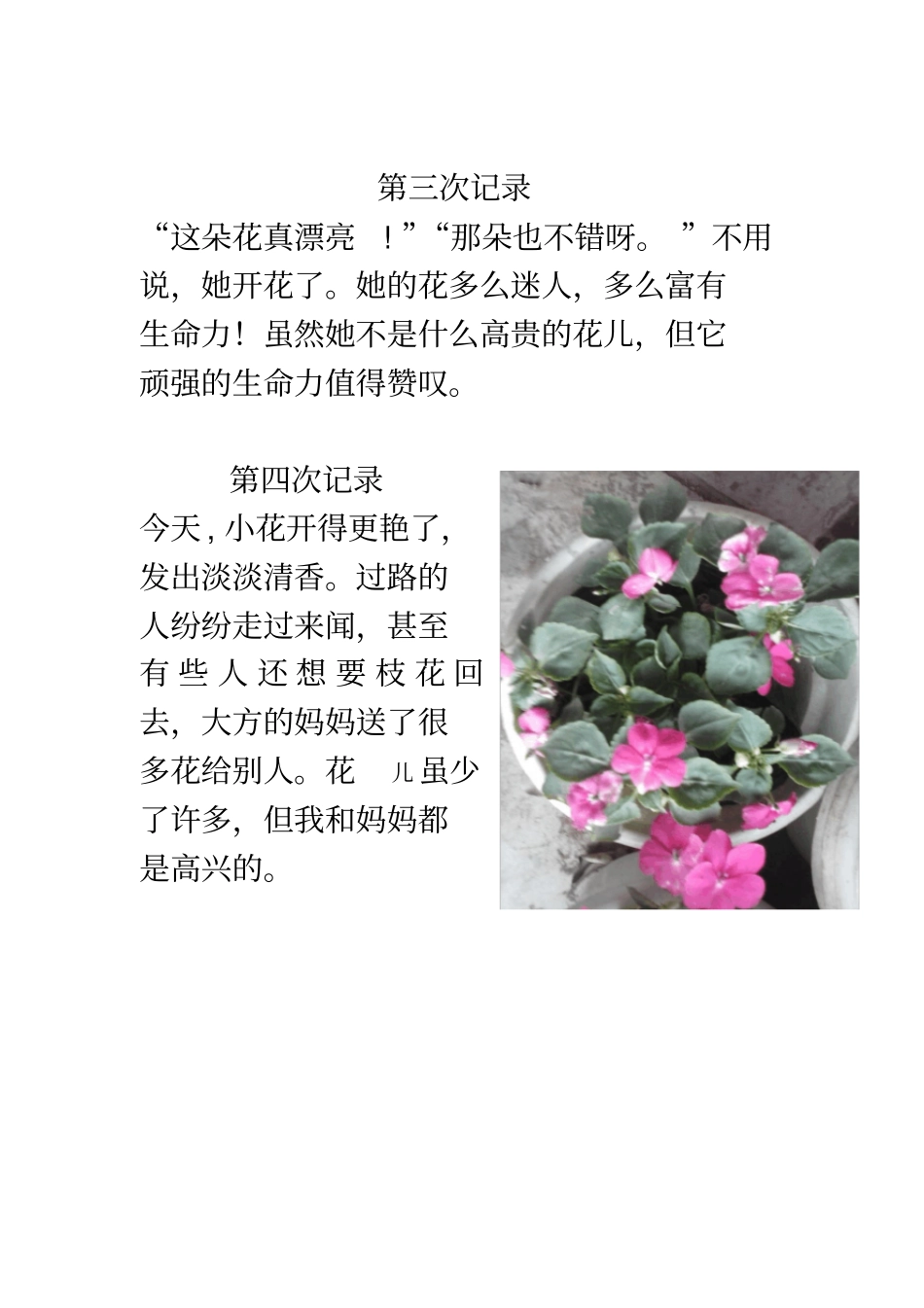 植物的生长过程配图_第3页