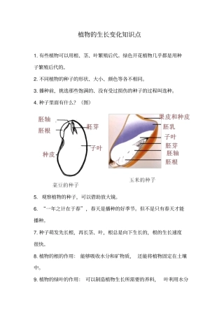 植物的生长变化知识点良心出品必属精品