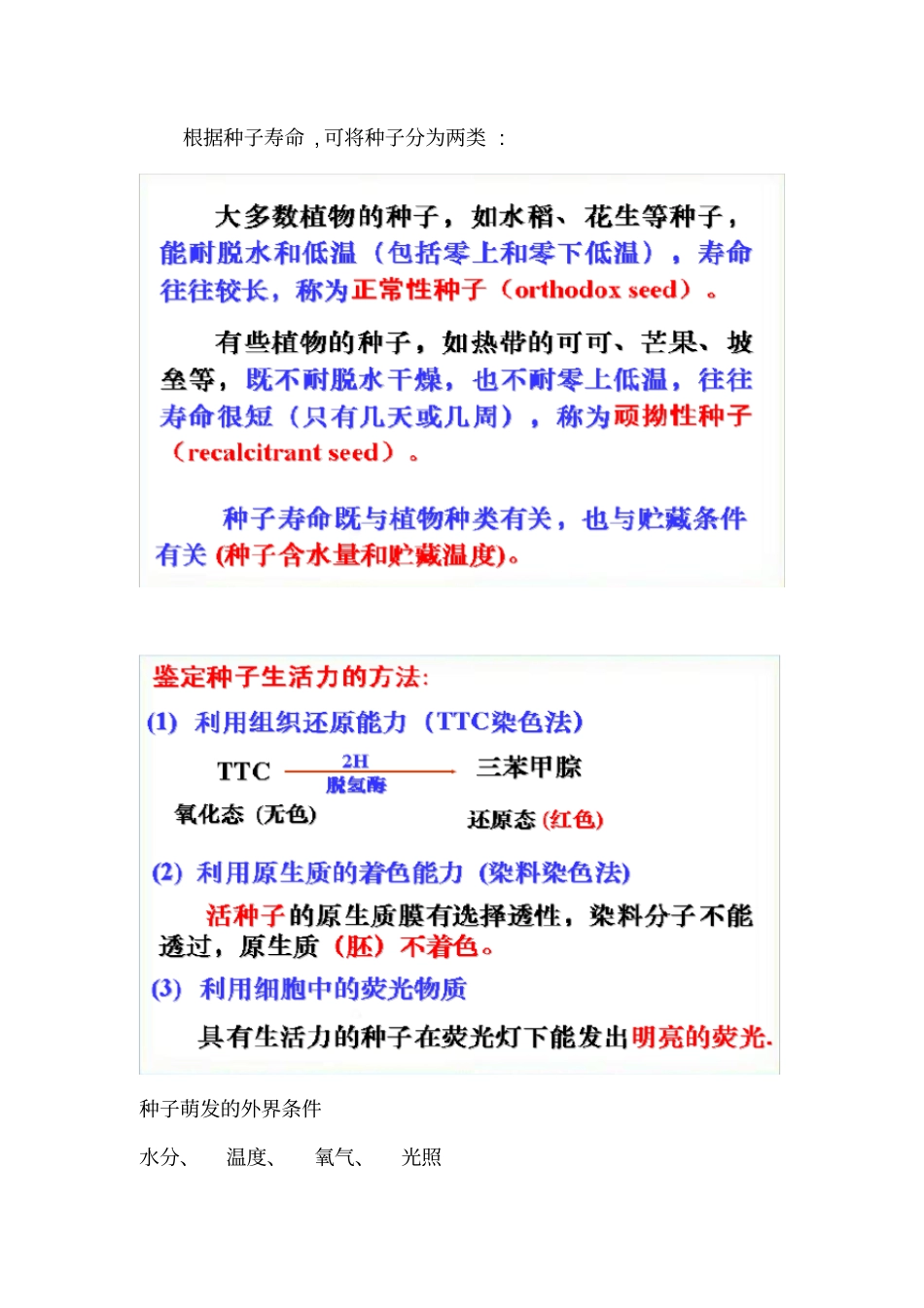 植物的营养生长_第3页