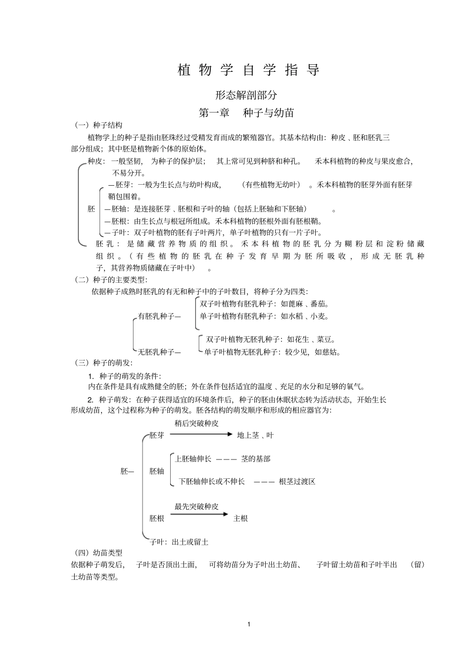植物解剖及分类_第1页