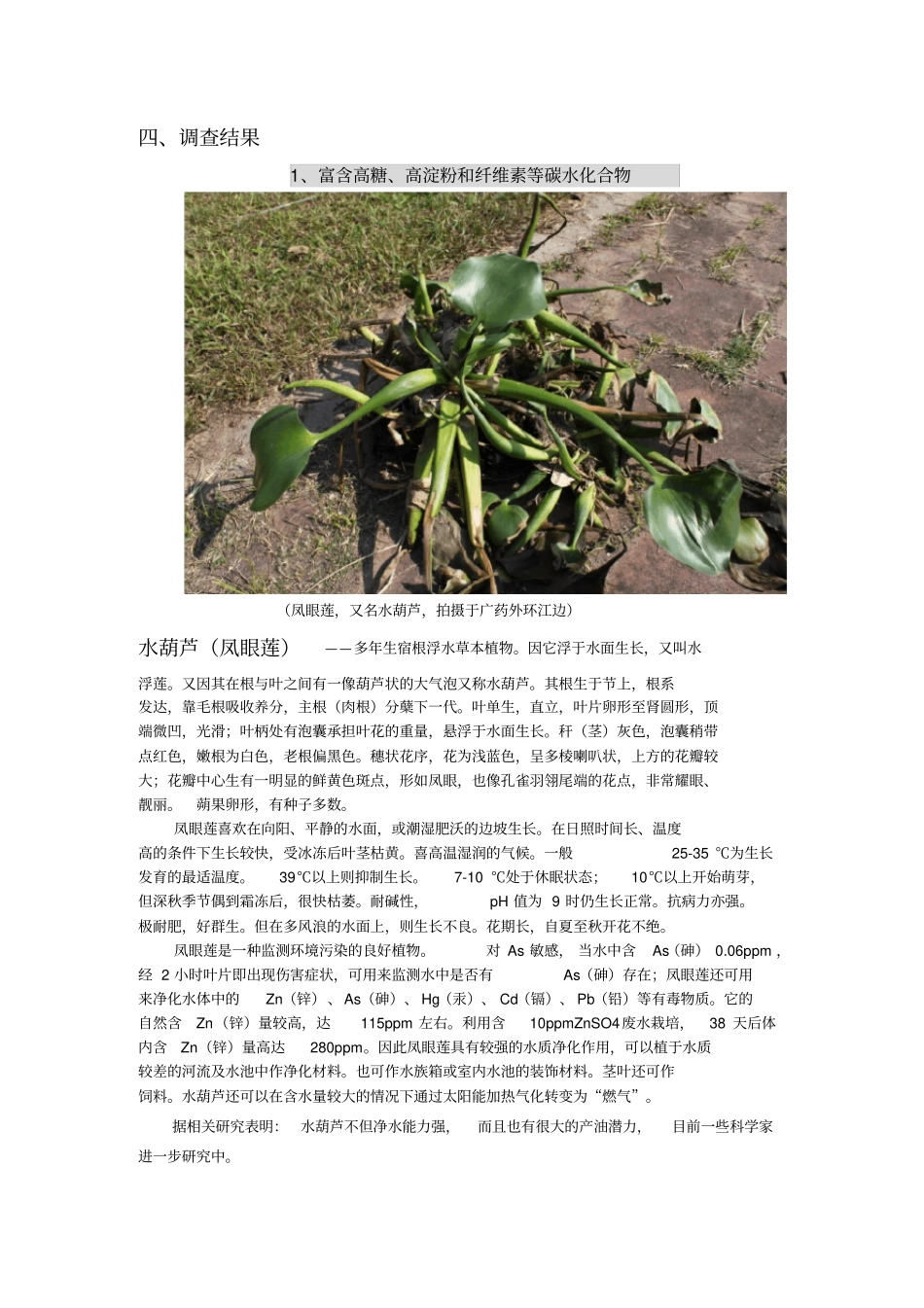 植物资源调查报告_第3页