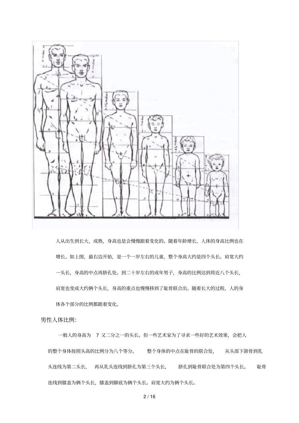 模型高级——人体结构_第2页