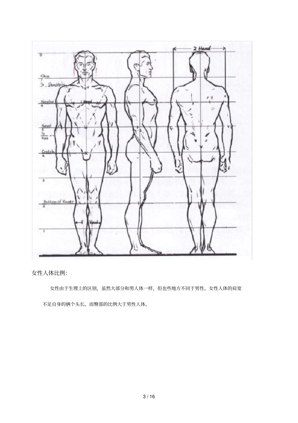 模型高级——人体结构_第3页