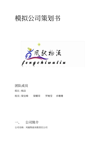 模拟公司策划书